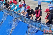 卜卦问事2025年全国水生生物同步增殖放流活动在福建举行