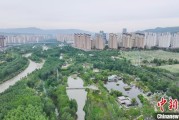 卜卦问事西宁市举办六五环境日主题宣传活动