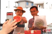 卜卦问事（乡村行·看振兴）江西安福“小西瓜”撬动乡村共富“大支点”