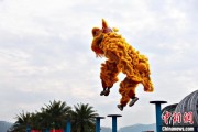 卜卦问事（文化中国行）壮乡狮舞闯南洋：脚踏“云桩” 饮誉海内外