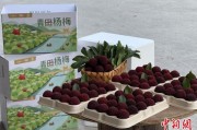 卜卦问事高速赋能产业升级：一条“杨梅路”的致富密码